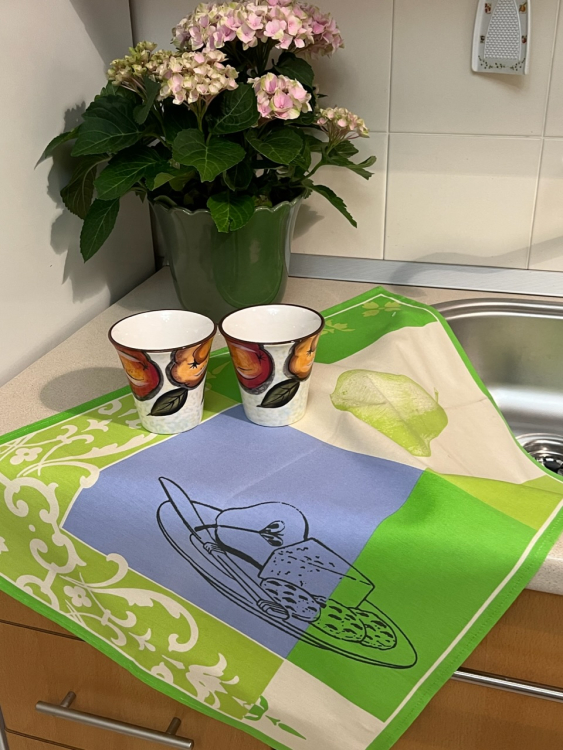 Кухонное полотенце Vallesusa FRUITS (15089)