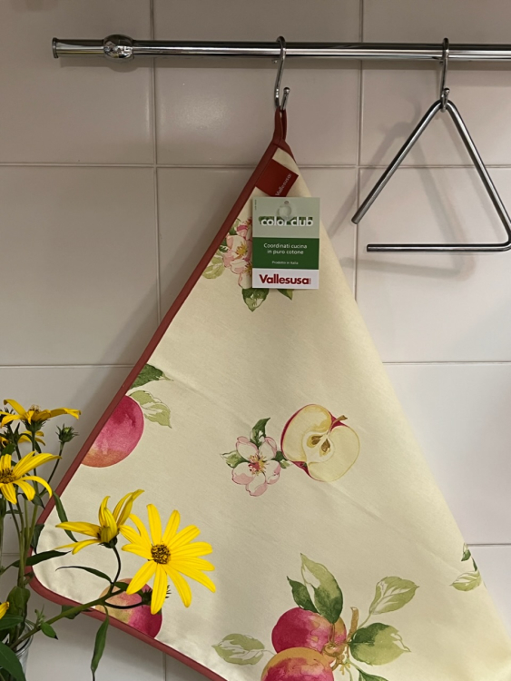 Кухонное полотенце Vallesusa SHABBY (16058)