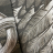 Постельное белье Roberto Cavalli PLUMAGE 240x220 CHOCOLATE