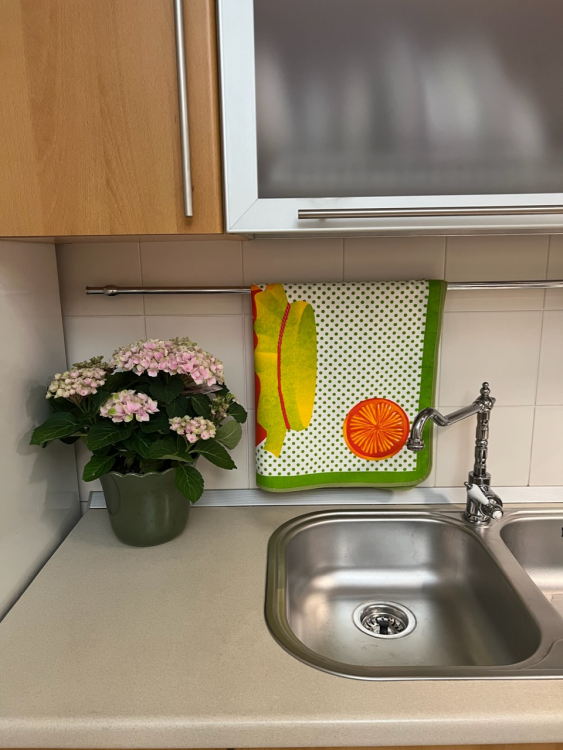 Кухонное полотенце Vallesusa JAM (16387) апельсин Кухонное полотенце Vallesusa JAM (16387) апельсин