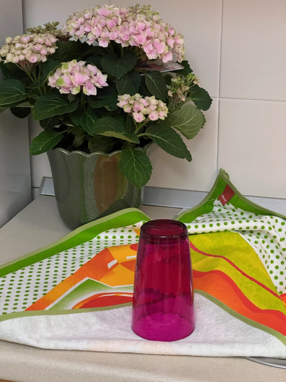 Кухонное полотенце Vallesusa JAM (16387) апельсин Кухонное полотенце Vallesusa JAM (16387) апельсин