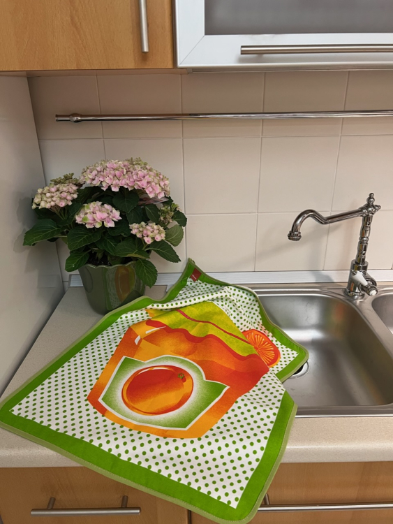 Кухонное полотенце Vallesusa JAM (16387) апельсин Кухонное полотенце Vallesusa JAM (16387) апельсин