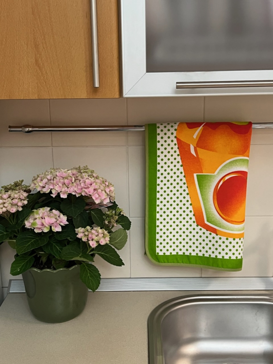 Кухонное полотенце Vallesusa JAM (16387) апельсин Кухонное полотенце Vallesusa JAM (16387) апельсин