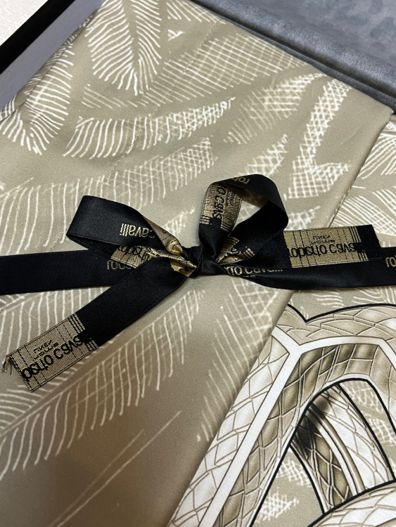 240x220 Постельное белье Roberto Cavalli PLUMAGE AVORIO