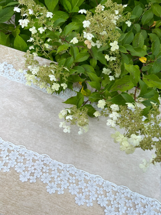 Набор салфеток для сервировки Emozioni SOGNO - 3 шт.