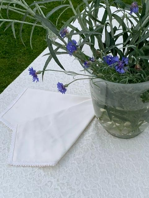 Скатерть и наперон Gamba 1312 190x290 +12 салфеток