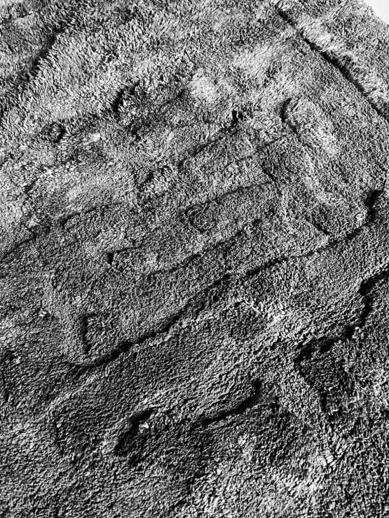 Коврик для ванной Roberto Cavalli RC 70х110 см черный