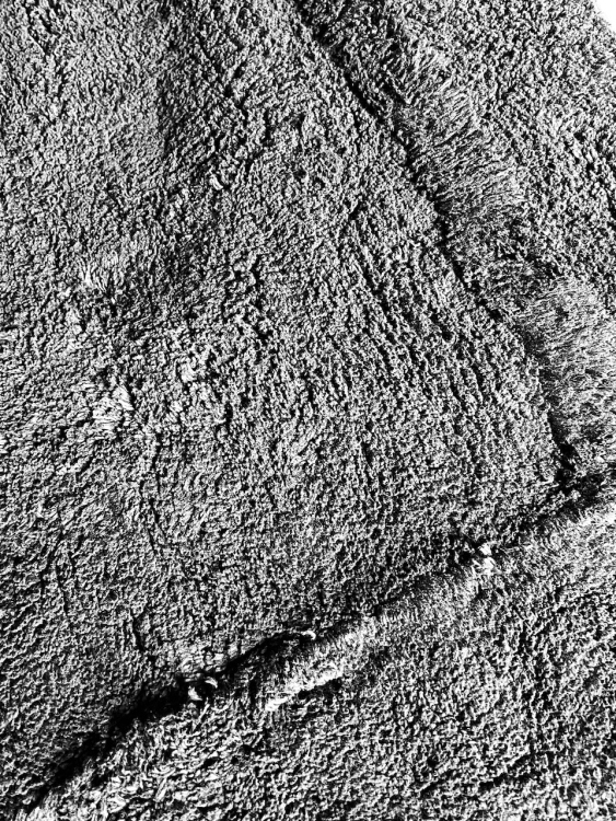 Коврик для ванной Roberto Cavalli RC 70х110 см черный