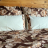 Постельное белье Dondi AVANTGARDEN 220x200
