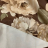 Постельное белье Dondi AVANTGARDEN 220x200