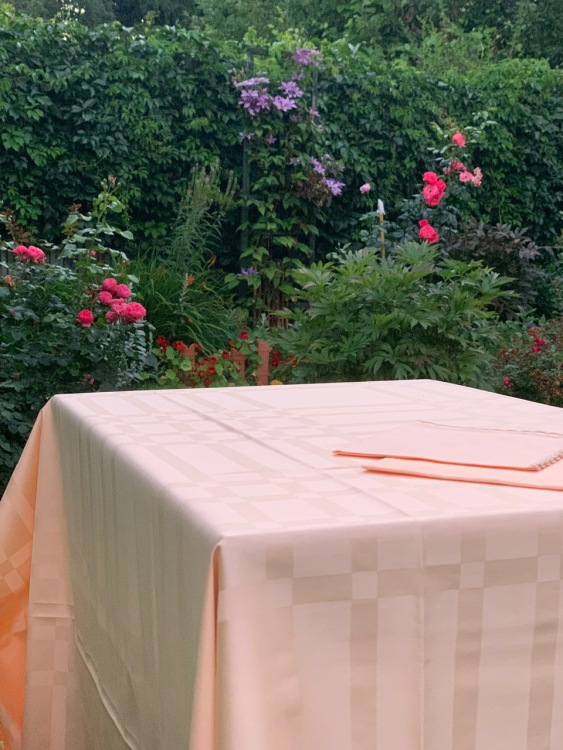 Скатерть овальная Palombella MARILIA 180х270 овал +12 салфеток абрикосовая