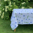 Скатерть AnnaMaria 150x230 SOFFIONE AZZURO