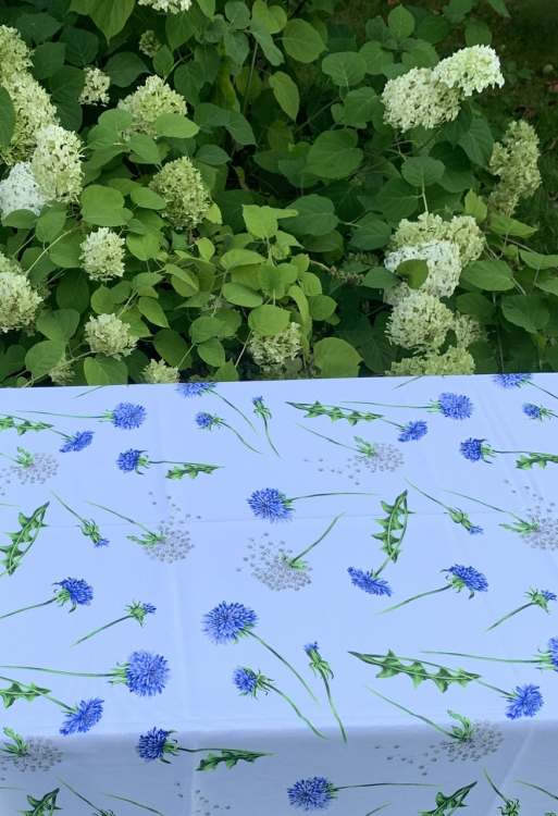 Скатерть AnnaMaria 150x230 SOFFIONE AZZURO