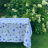 Скатерть AnnaMaria 150x230 SOFFIONE AZZURO