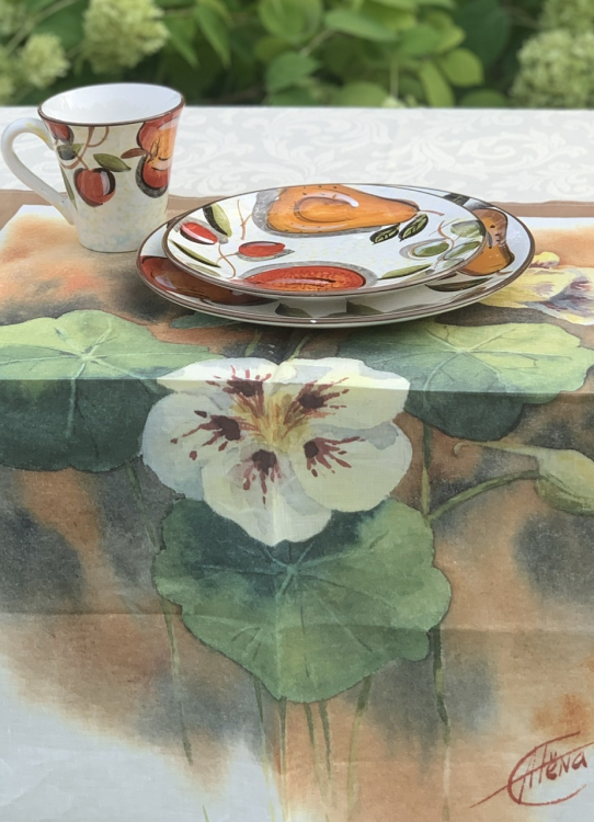 Кухонное полотенце EmilioGatti CNERA 50x70 (var.1) 100% лен