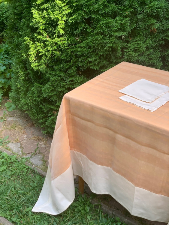 Cкатерть органза Palombella BRICS 180x270 +12 салфеток