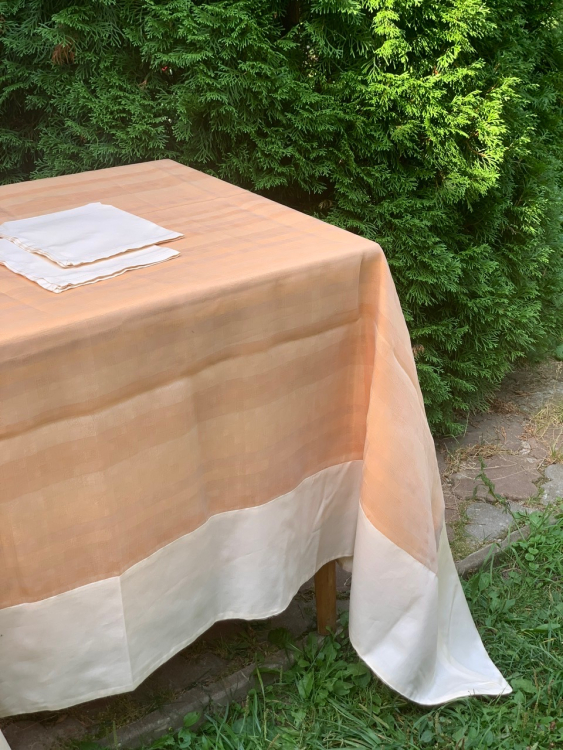 Cкатерть органза Palombella BRICS 180x270 +12 салфеток