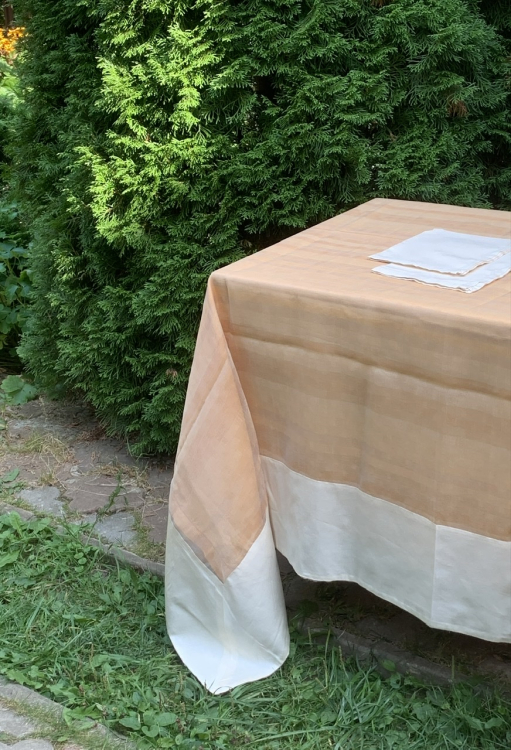 Cкатерть органза Palombella BRICS 180x270 +12 салфеток