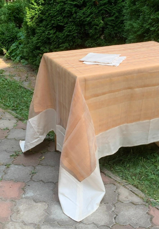 Cкатерть органза Palombella BRICS 180x270 +12 салфеток