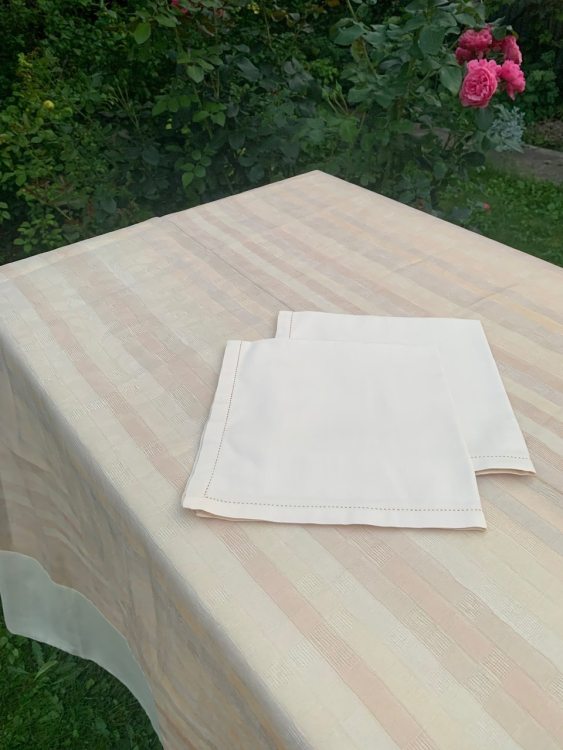 Cкатерть органза Palombella BRICS 180x270 +12 салфеток