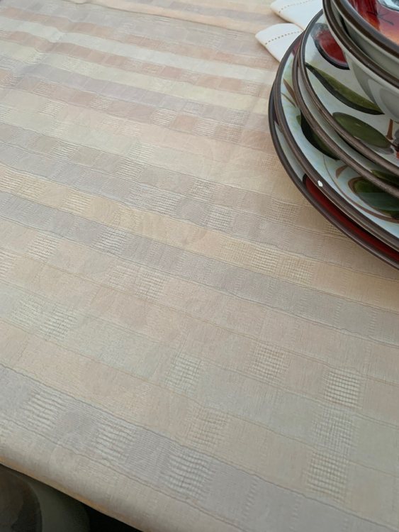 Cкатерть органза Palombella BRICS 180x270 +12 салфеток