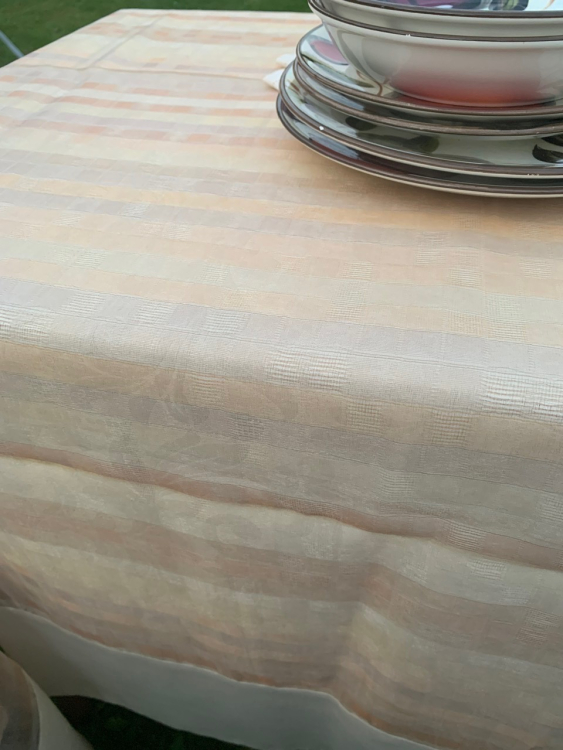 Cкатерть органза Palombella BRICS 180x270 +12 салфеток