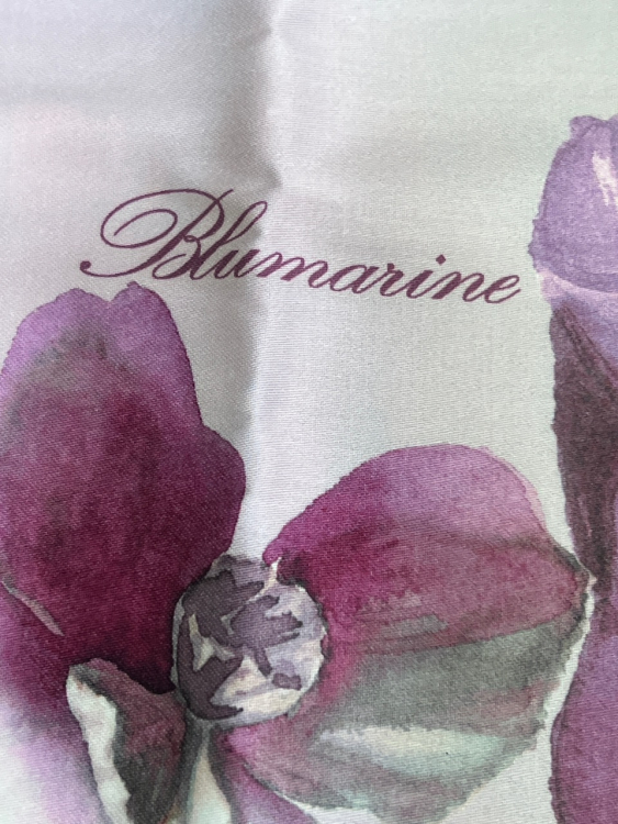 Постельное белье Blumarine FLEURETTE 240х200 RIBES