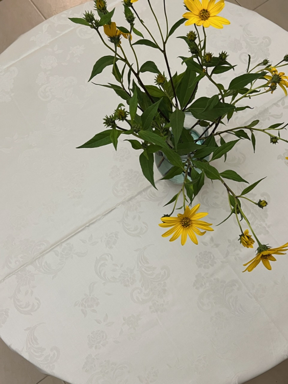 Скатерть круглая Palombella SVEZIA PIZZO-2 D.220x12