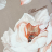 Постельное белье Blumarine ANNIKA 240X220 argilla