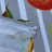 Скатерть с салфетками Dreams CITRUS 140x180 + 6 салфеток