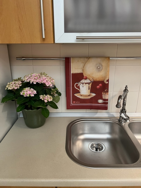 Кухонное полотенце Tag CIOCCOLATA (307) Горячий шоколад