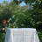 Скатерти с салфетками Palombella RIO 180x270x12 овал