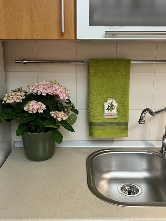 Кухонное  полотенце Vingi HERBARIUM мята