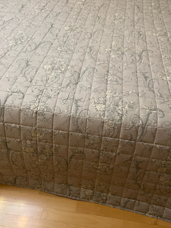 Покрывало Dondi SAINT GERMEN 270х270 cielo