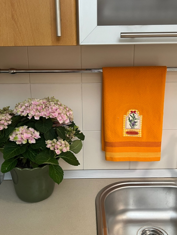 Кухонное  полотенце Vingi HERBARIUM розмарин