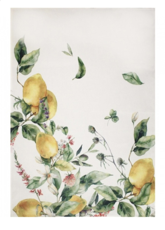 Кухонное полотенце Vallesusa CITRUS A (лимон) 50 х 75