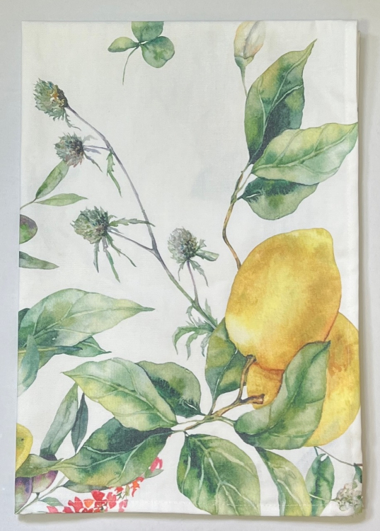 Кухонное полотенце Vallesusa CITRUS A (лимон) 50 х 75