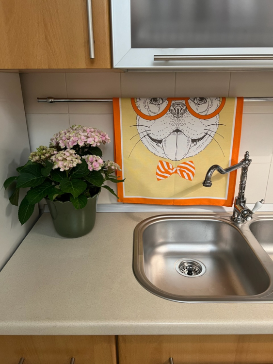 Кухонное полотенце Vallesusa FACES (16389) собака