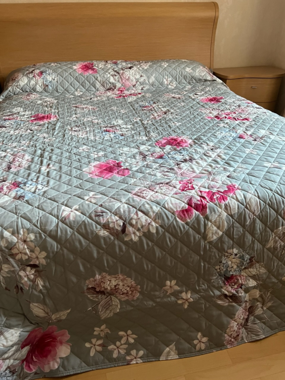 Покрывало Dondi ALYSEE 270х270 ARGENTO Покрывало Dondi ALYSEE 270х270 ARGENTO