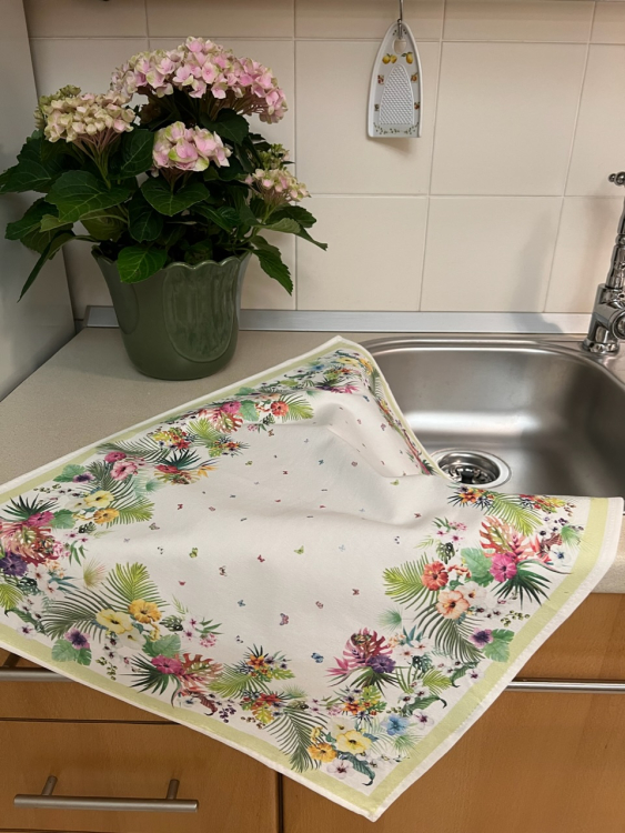 Кухонное полотенце Gruppo Bataglia POSITANO var.2