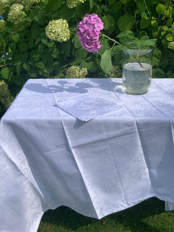 Скатерть с салфетками Emilio Gatti AURORA 150x220 +8 салфеток