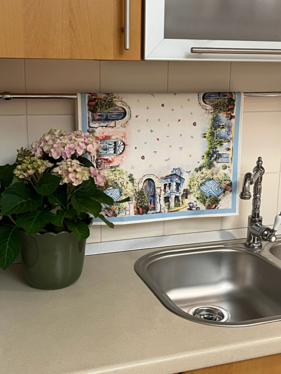 Кухонное полотенце Gruppo Bataglia POSITANO var.1