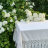 Скатерть 170х270 Gamba1323 и 12 салфеток, Bianco