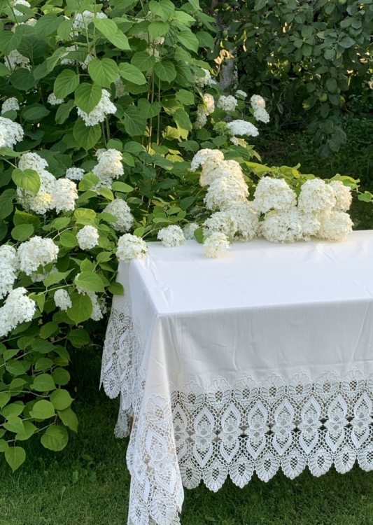 Скатерть 170х270 Gamba1323 и 12 салфеток, Bianco