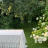Скатерть 170х270 Gamba1323 и 12 салфеток, Bianco