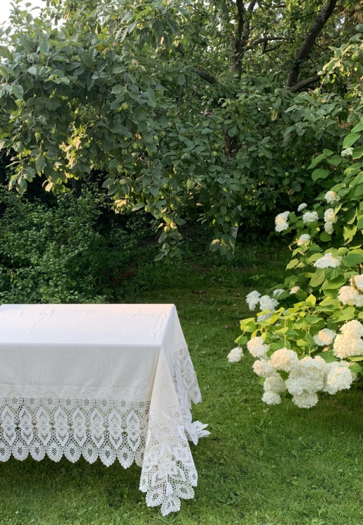 Скатерть 170х270 Gamba1323 и 12 салфеток, Bianco