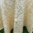 Скатерть с салфетками Palombella SOFIA D.220x12