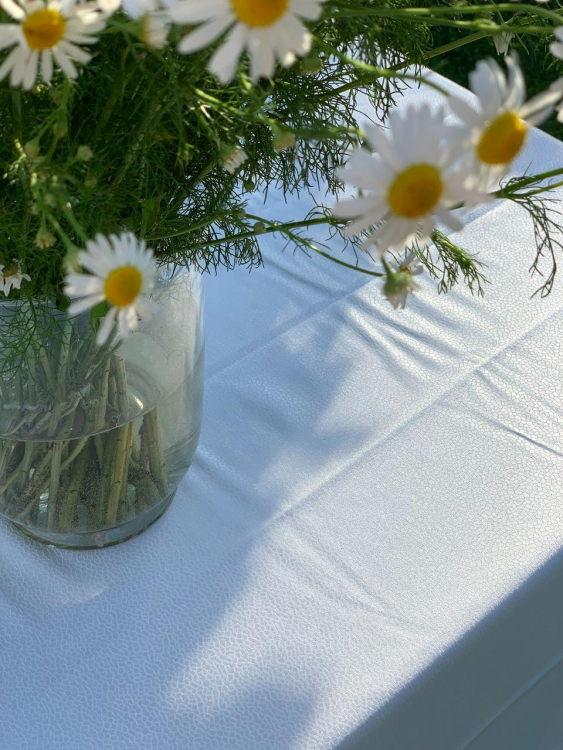 Скатерть с салфетками Gamba 9884СК 170х340х12