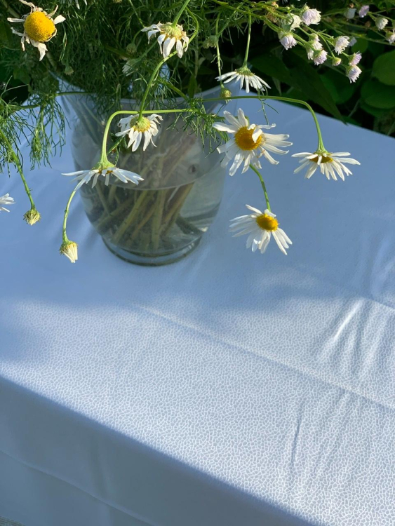 Скатерть с салфетками Gamba 9884СК 170х340х12