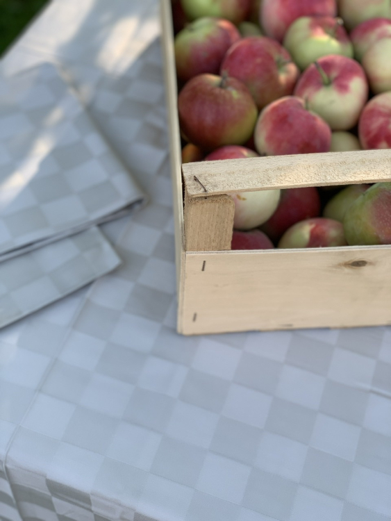 Скатерть с салфетками Vallesusa DAMIER 160х225х8